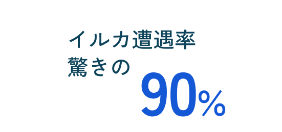 イルカ遭遇率 驚きの90%